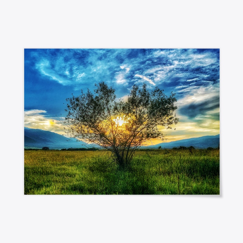 Bansko, Bulgaria -sunset tree