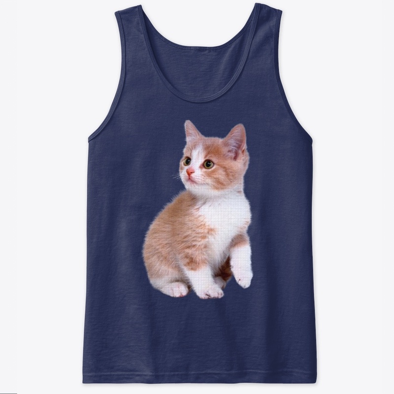 FUNNY SHOCKED CAT