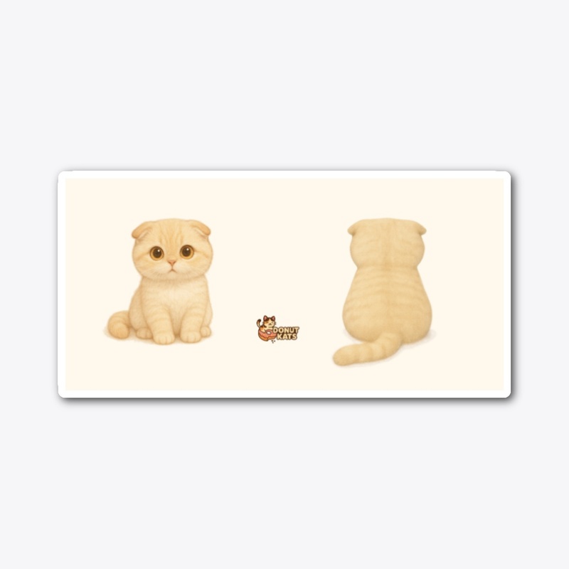 Mr. Pumpkin Paws
