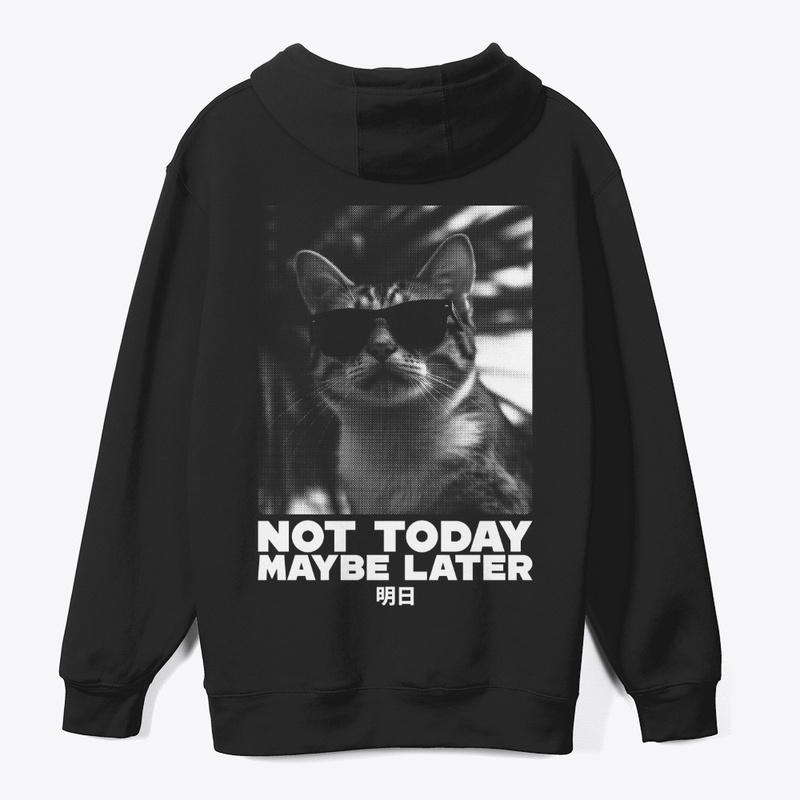 NOT TODAY MAYBE LATER