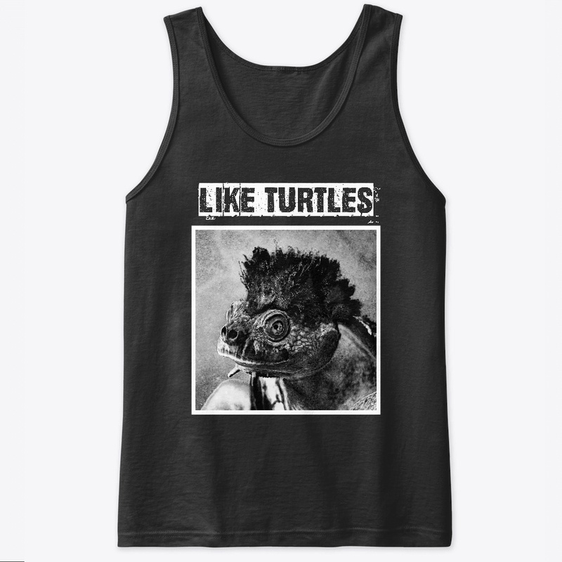 Punk Turtle Collection