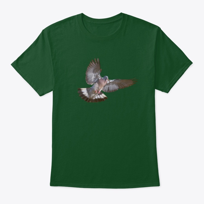 chasse pigeon ramier