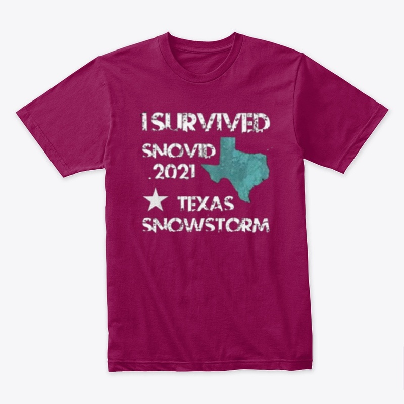 Snovid-21 Texas Snowstorm