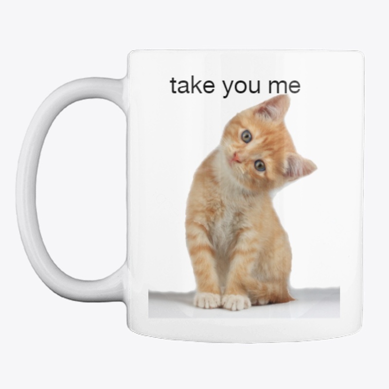 funny cat