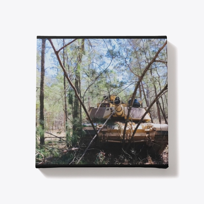 Abrams in the trees