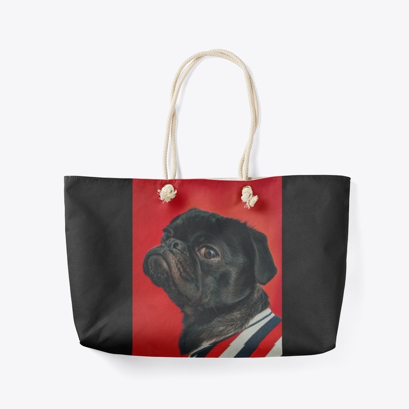 Animalspersons