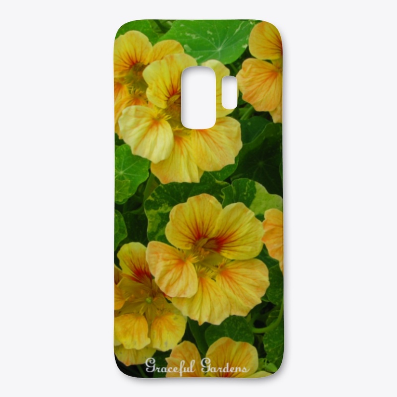 Tropical Nasturtium Flowers 