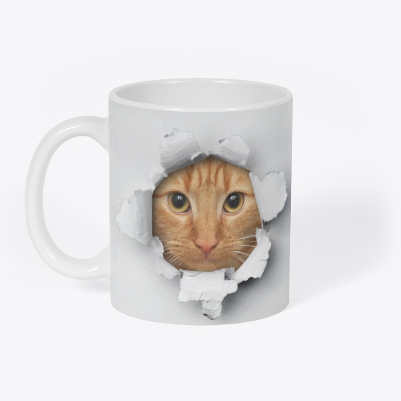 Funny cat face