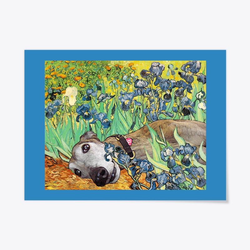 Brindle in the Irises