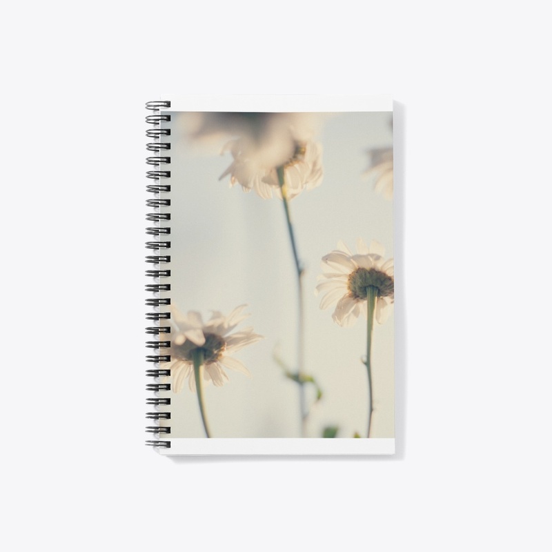White Petaled Flowers in Bloom