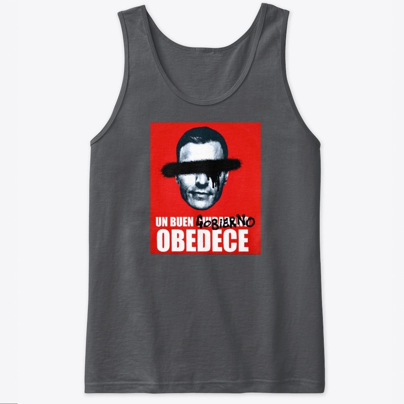 UN BUEN GOBIERNO OBEDECE