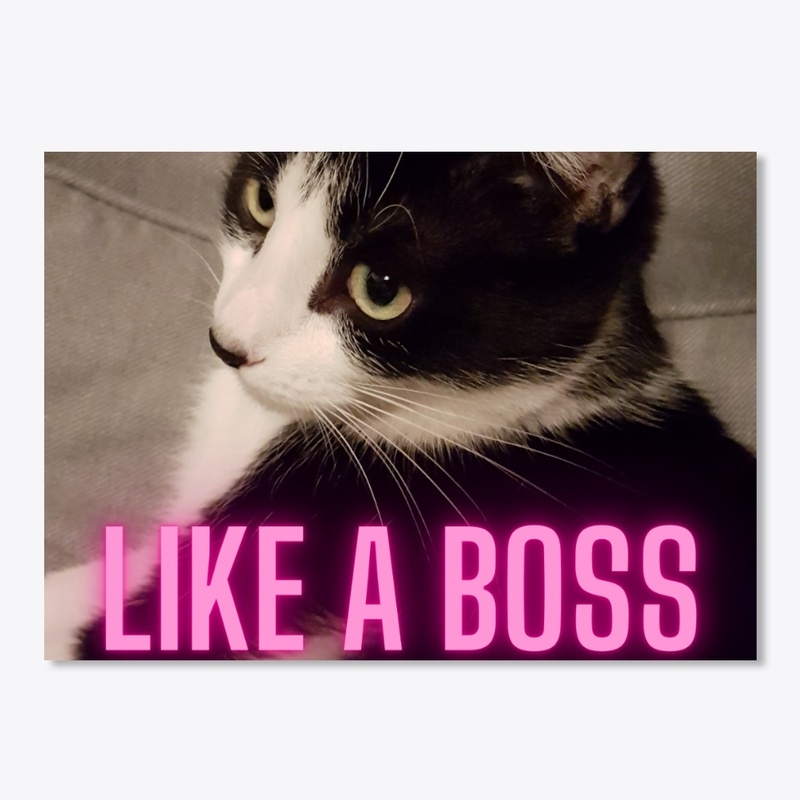 LIKE A BOSS  CAT VERSION