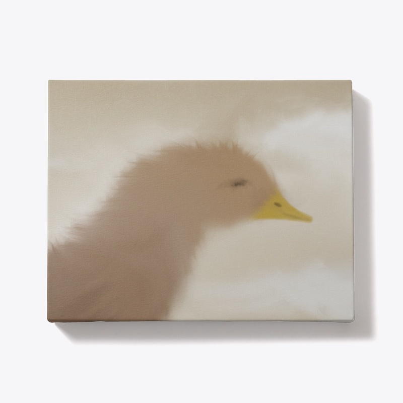 Adorable Waterfowl Chick