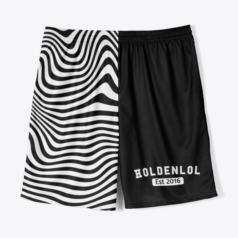 H0ldenlol Est 2016 style 