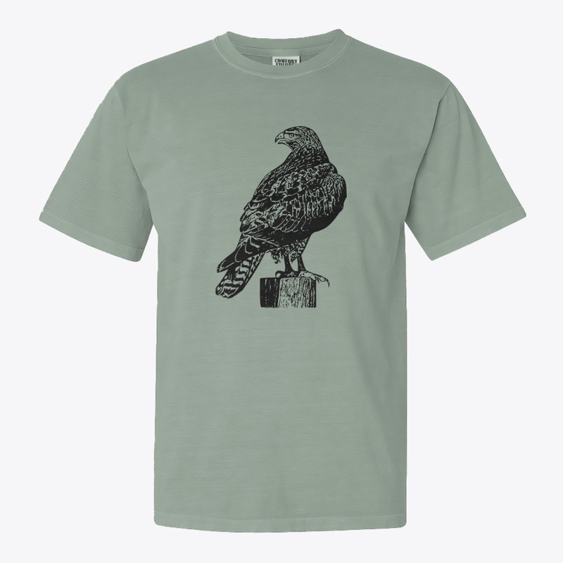 Red-tailed Hawk