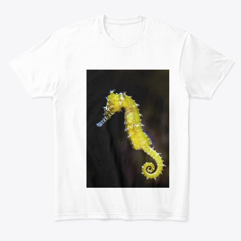 t shirt woman