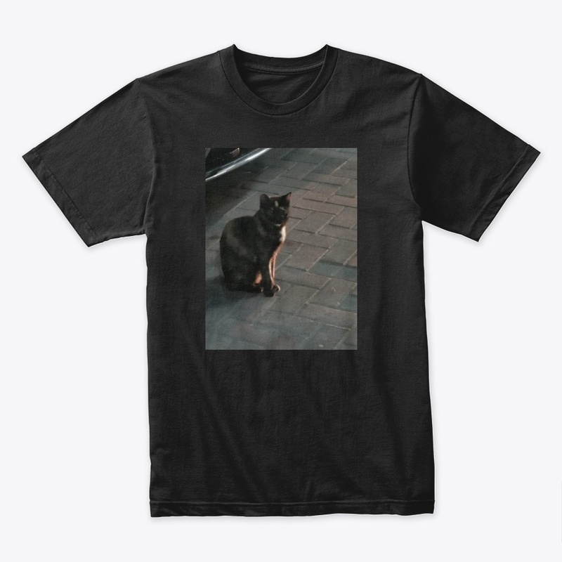 Cats lovers 2020