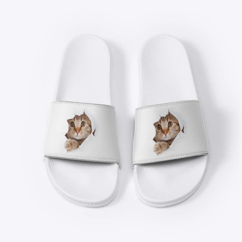 Cat Slides
