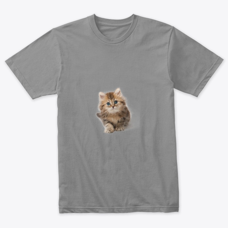 The funny cat