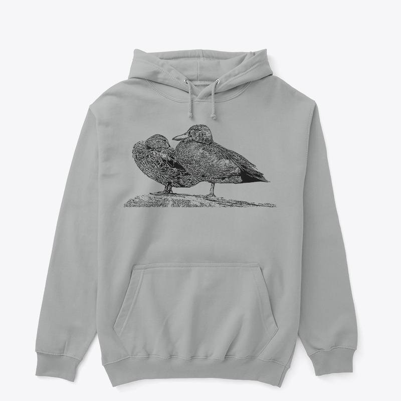 Cinnamon Teal