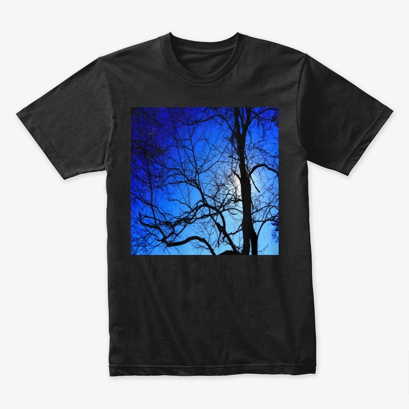 black tree blue sky 