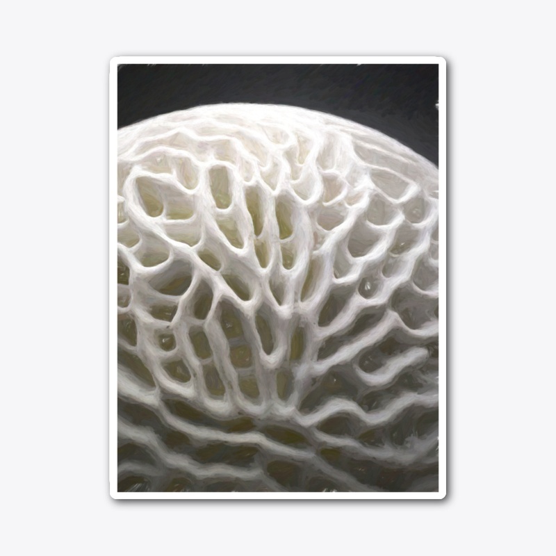 Corals