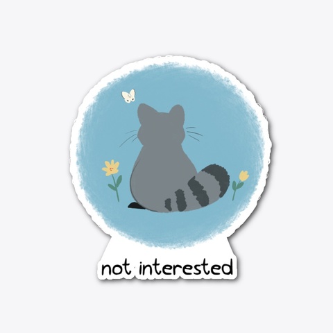 Sweet Raccoon Collection 2 Standard áo T-Shirt Front