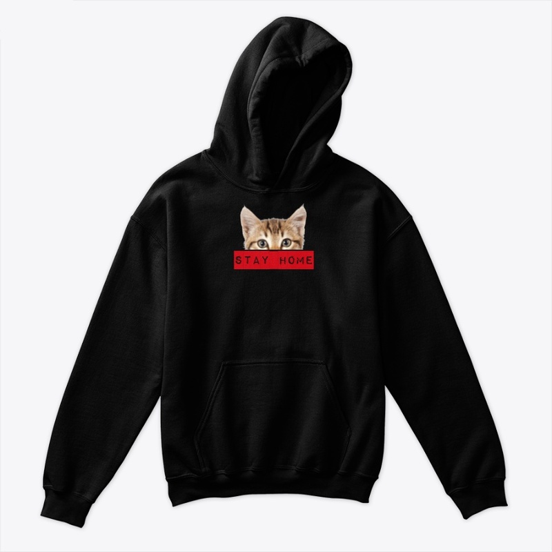 Work From Home with lovely cat