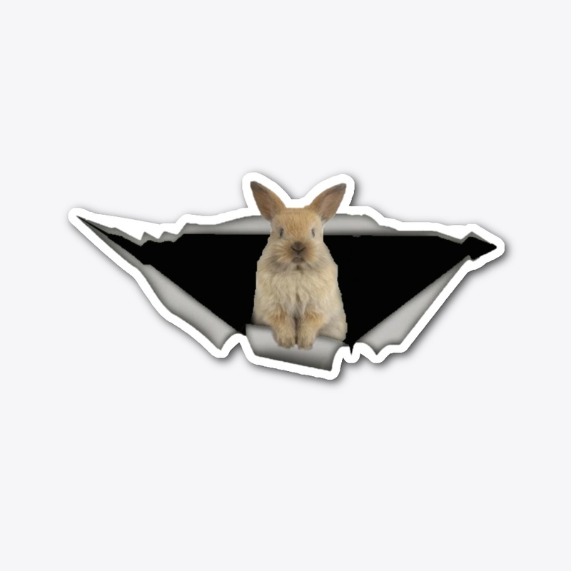 rabbit car decal