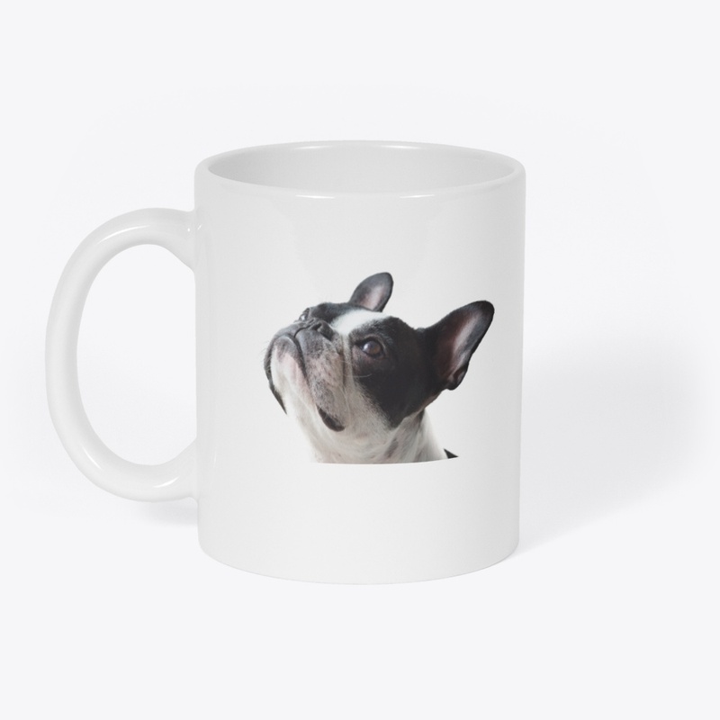 CUTE PUG 