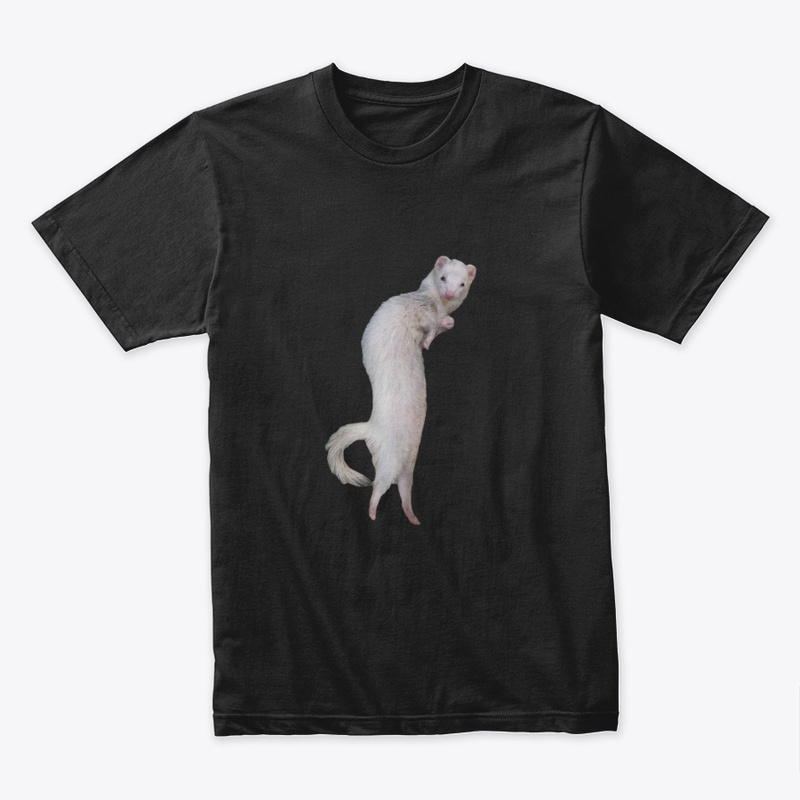 Sneaky Cici On Black