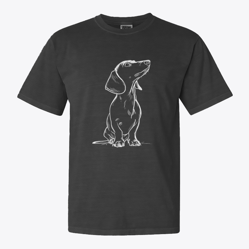 Minimal Dachshund Doodle