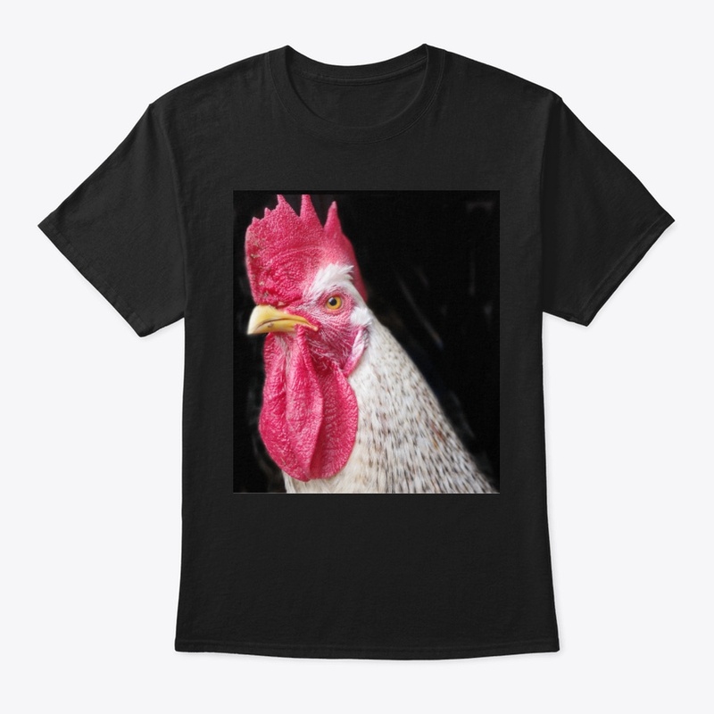rooster chicken farm animal
