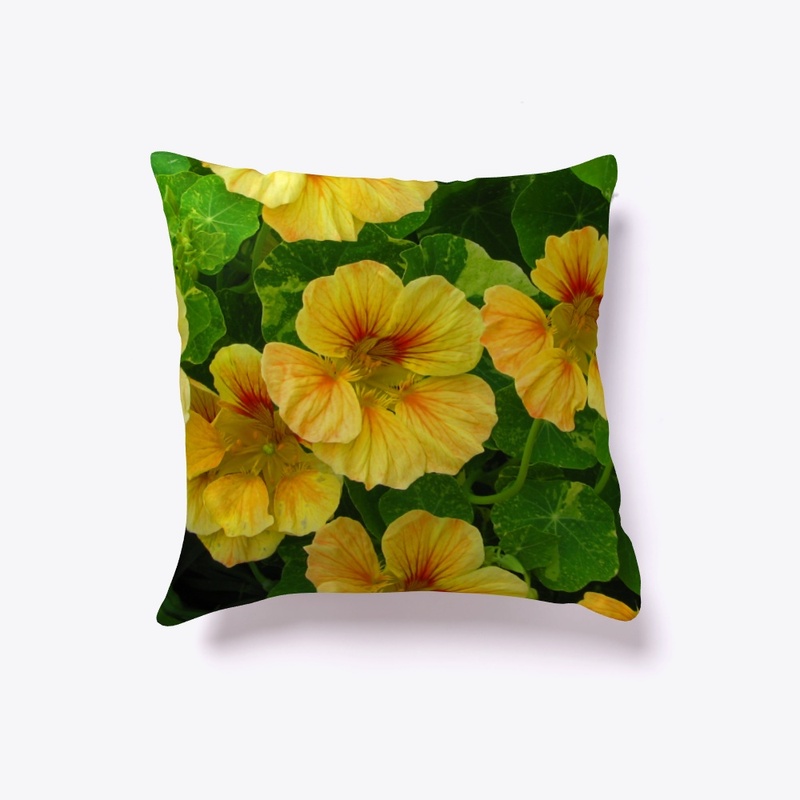 Tropical Nasturtium Flowers 