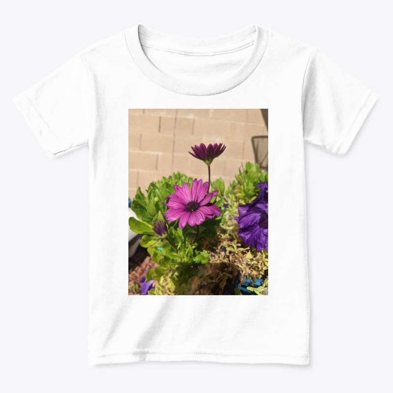 Purple daisy