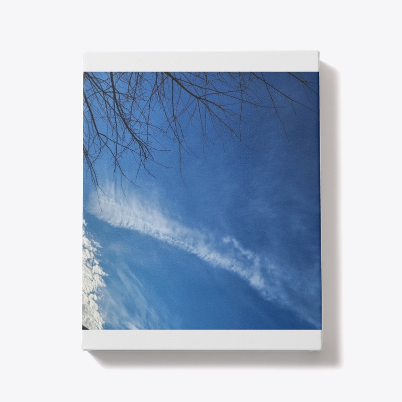 SKY SCAPES