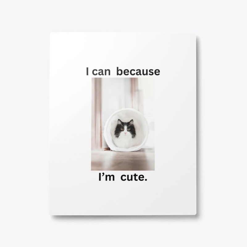 cute kitties