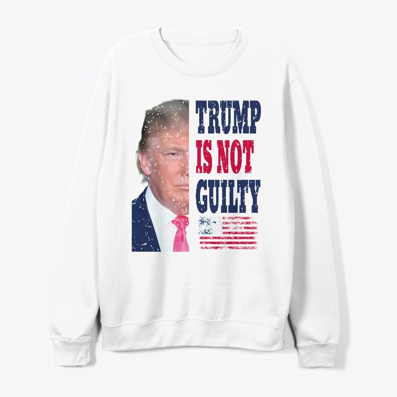 TRUMP IS NOT GUILTY 2024
