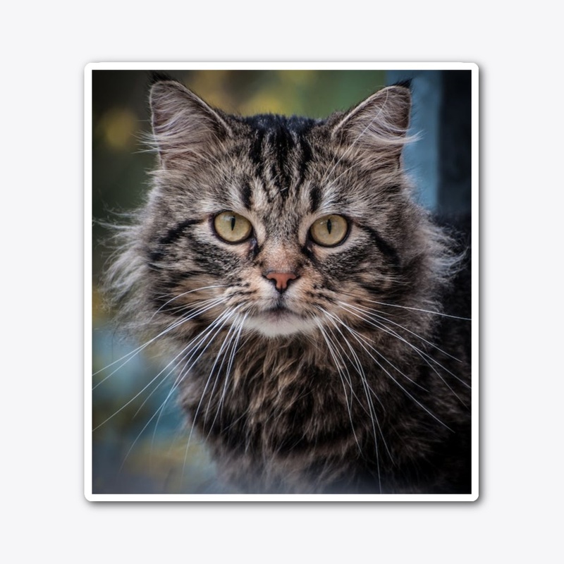 Cat Lover's Delight Coffee Cup