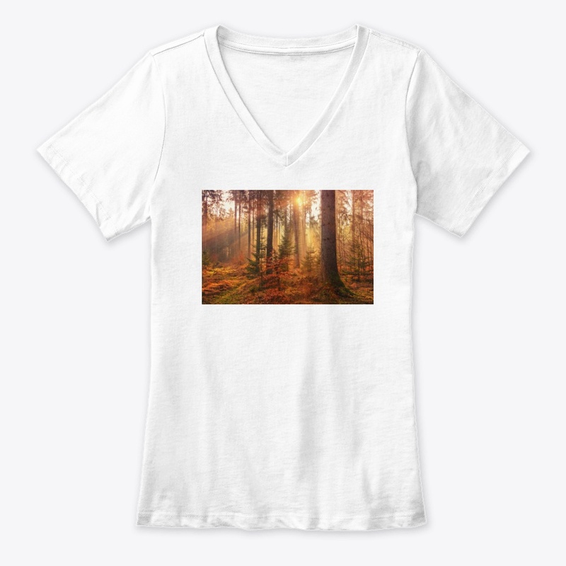 Value12 Sunshine in the forest