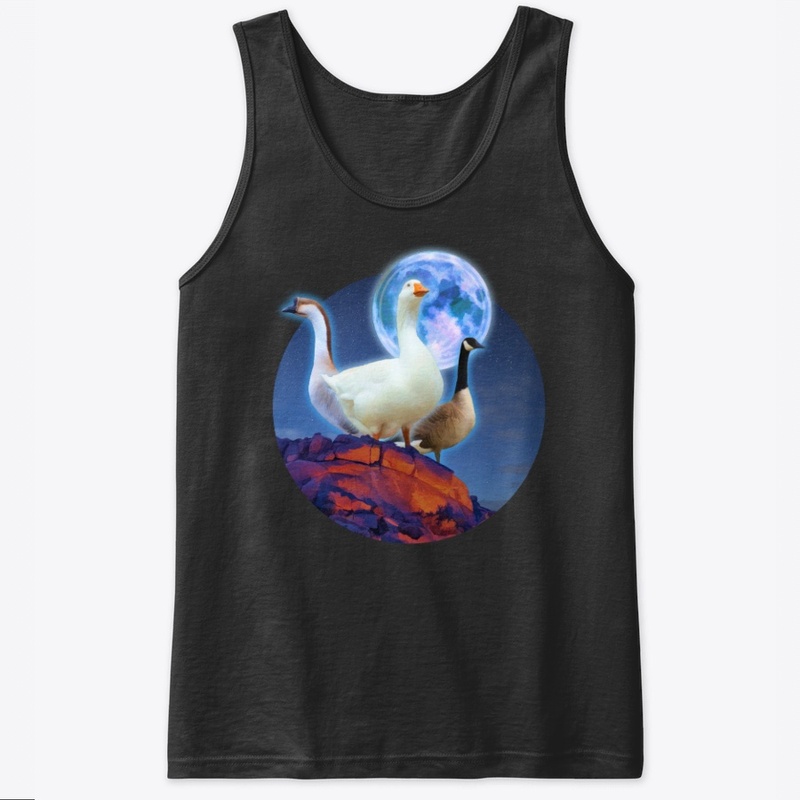 Three Goose Moon