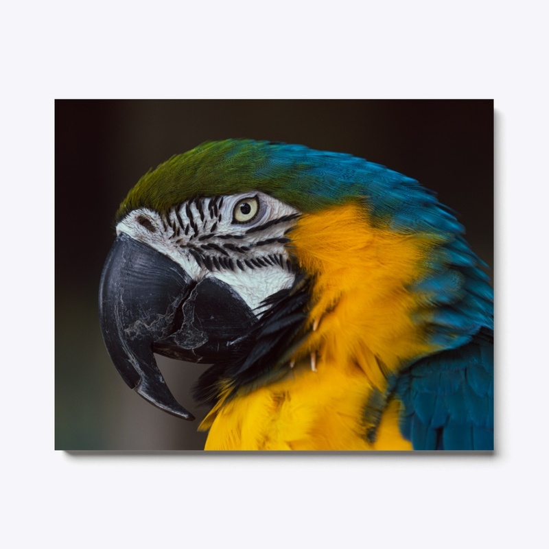 Birds of a feather 3