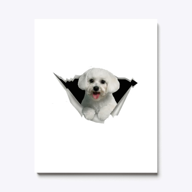 Cute maltese sticker