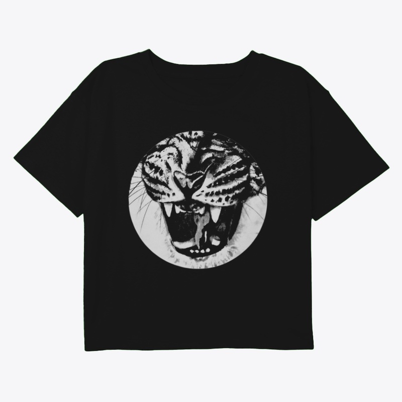 POUNCE V2 - BDAY EDITION