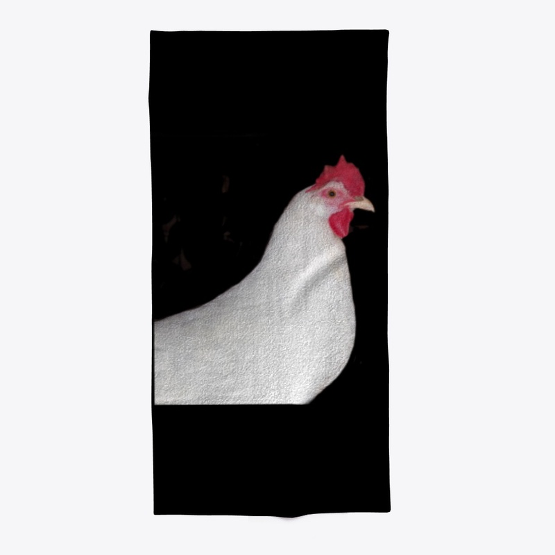 white leghorn hen chicken farm animal