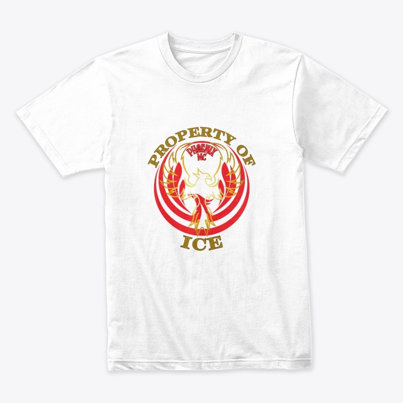Property of Ice