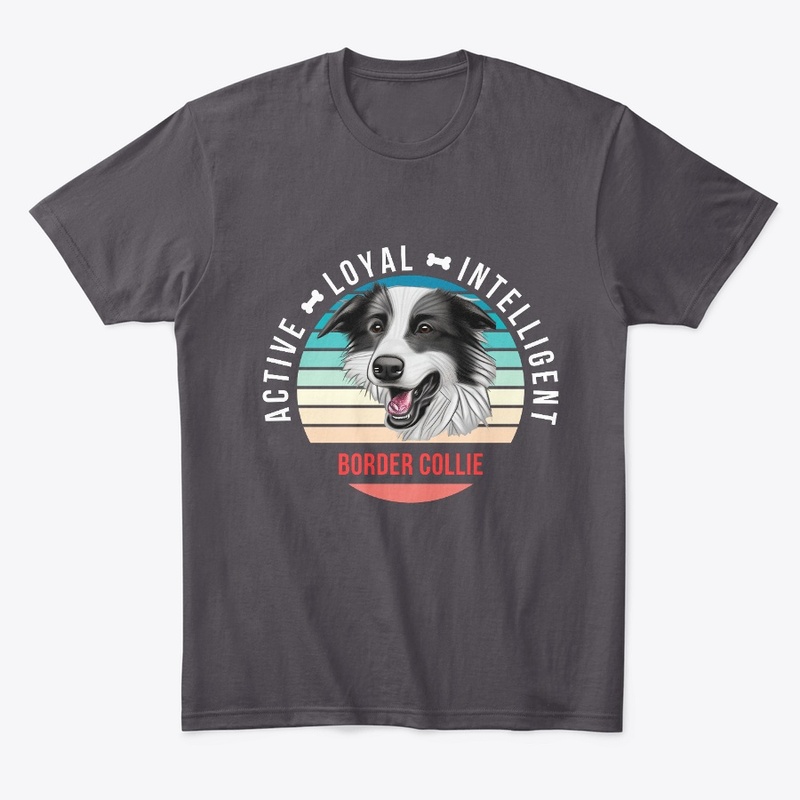 Border Collie - Active, Loyal