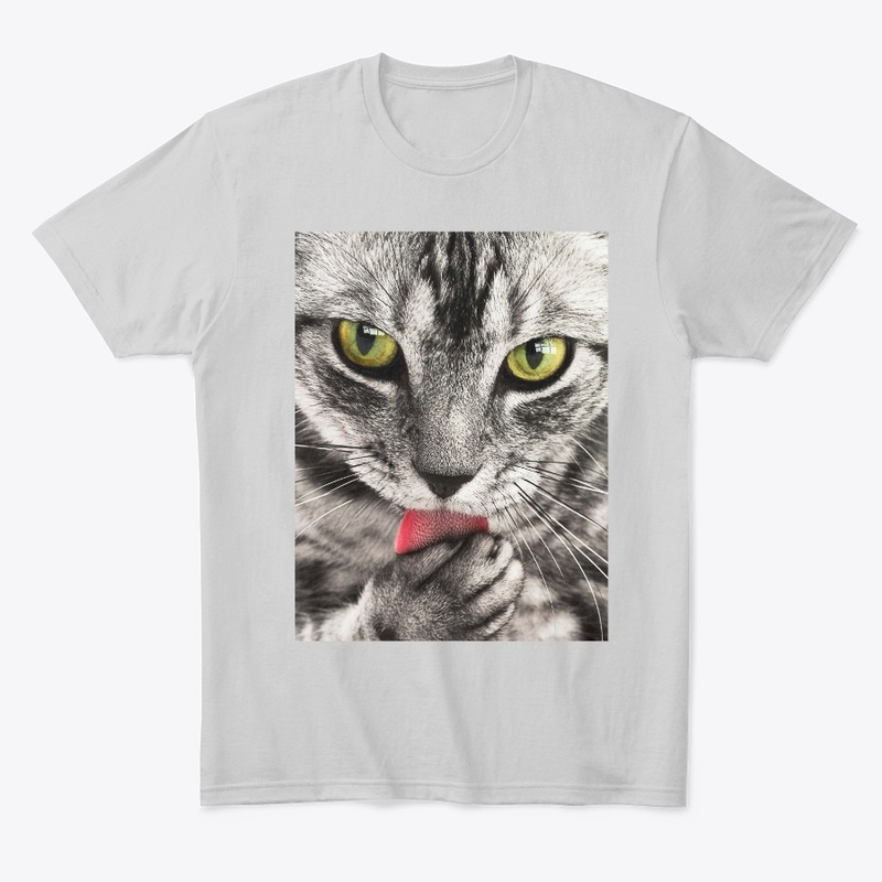  Cool Cat