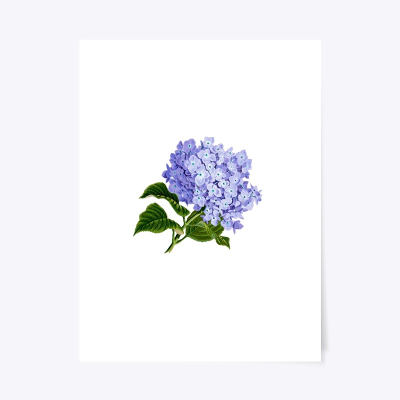 Vintage flower Purple Hydrangea