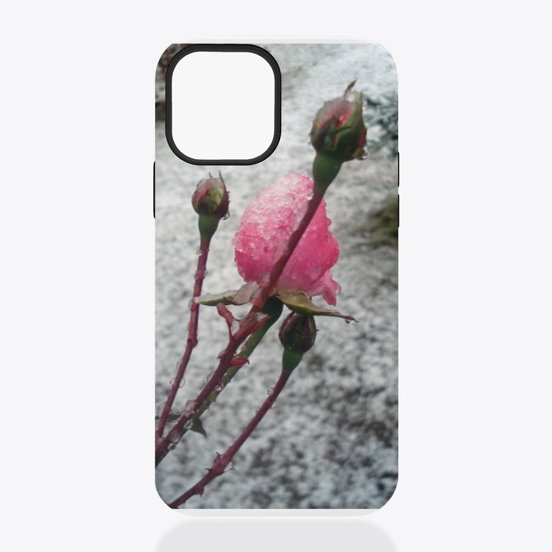 Winter rose